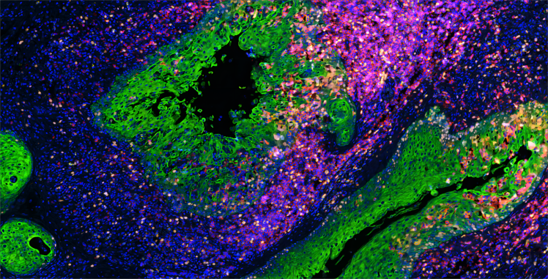Multi-channel scanning effect